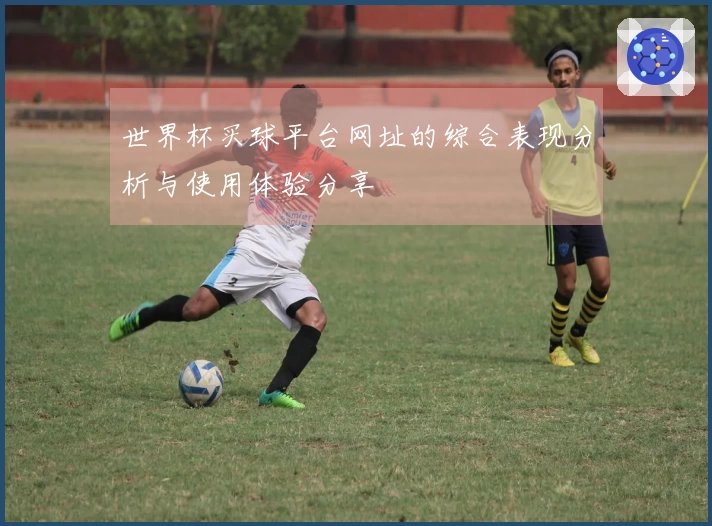 世界杯买球平台网址的综合表现分析与使用体验分享