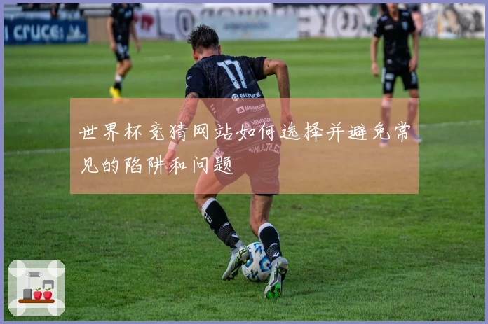 世界杯竞猜网站如何选择并避免常见的陷阱和问题