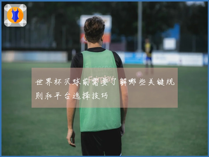 世界杯买球前需要了解哪些关键规则和平台选择技巧