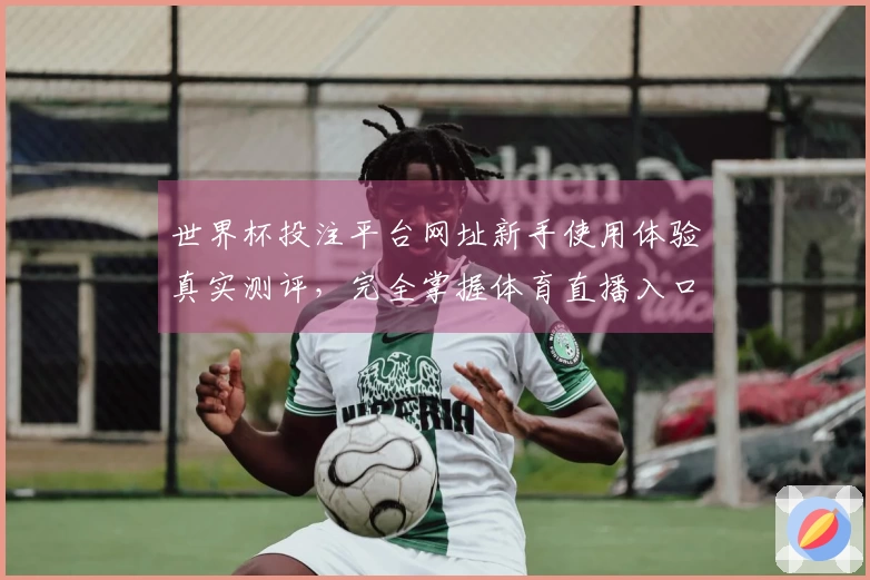 世界杯投注平台网址新手使用体验真实测评，完全掌握体育直播入口与功能介绍