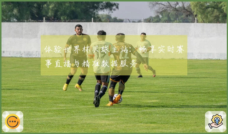 体验世界杯买球主站：畅享实时赛事直播与精准数据服务