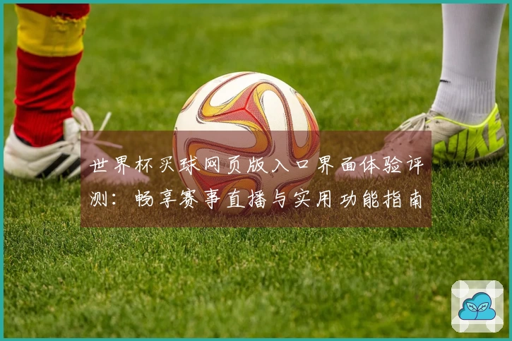 世界杯买球网页版入口界面体验评测：畅享赛事直播与实用功能指南