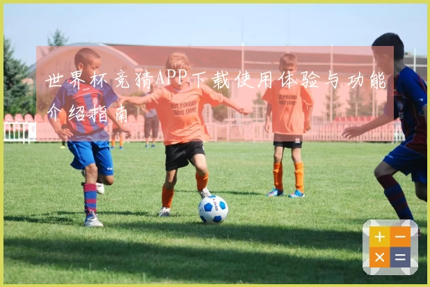 世界杯竞猜APP下载使用体验与功能介绍指南