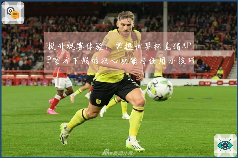 提升观赛体验，掌握世界杯竞猜APP官方下载的核心功能与使用小技巧