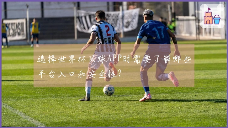 选择世界杯买球APP时需要了解哪些平台入口和安全性？