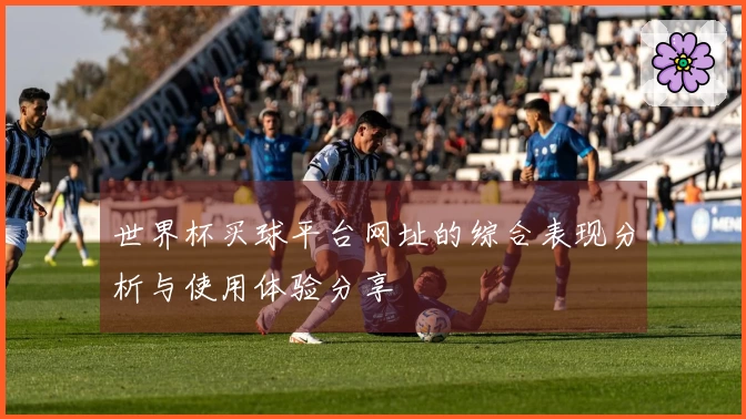世界杯买球平台网址的综合表现分析与使用体验分享